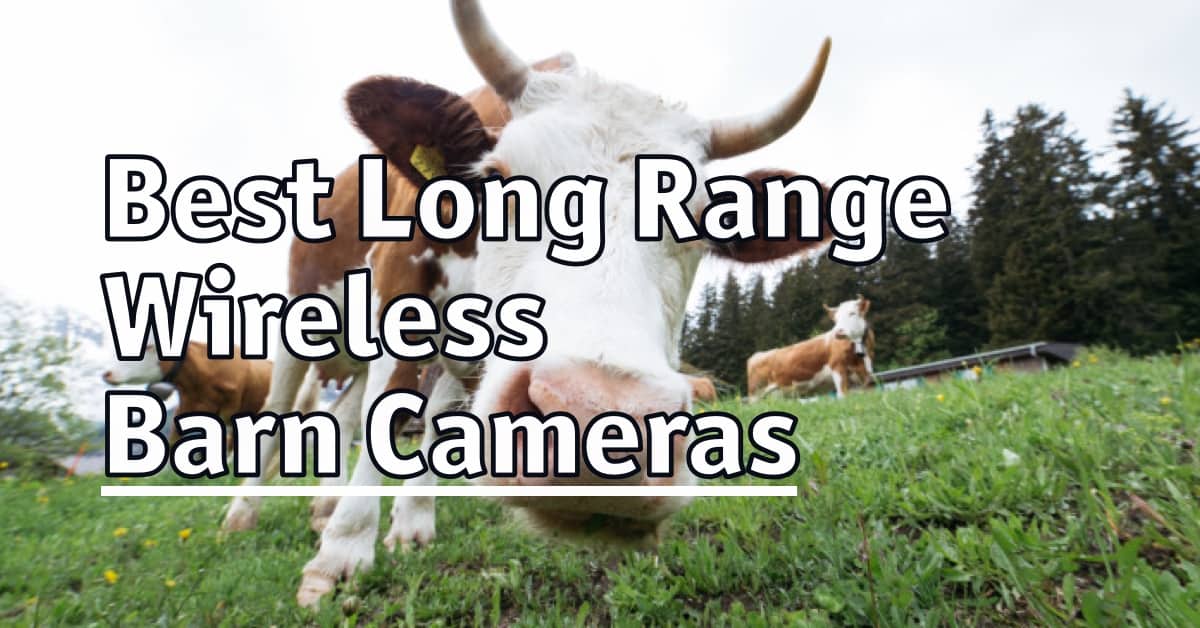 Best Long Range Wireless Barn Cameras